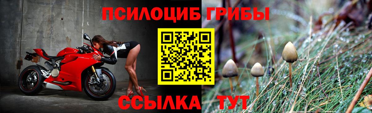 Псилоцибиновые грибы мицелий Сергиев Посад